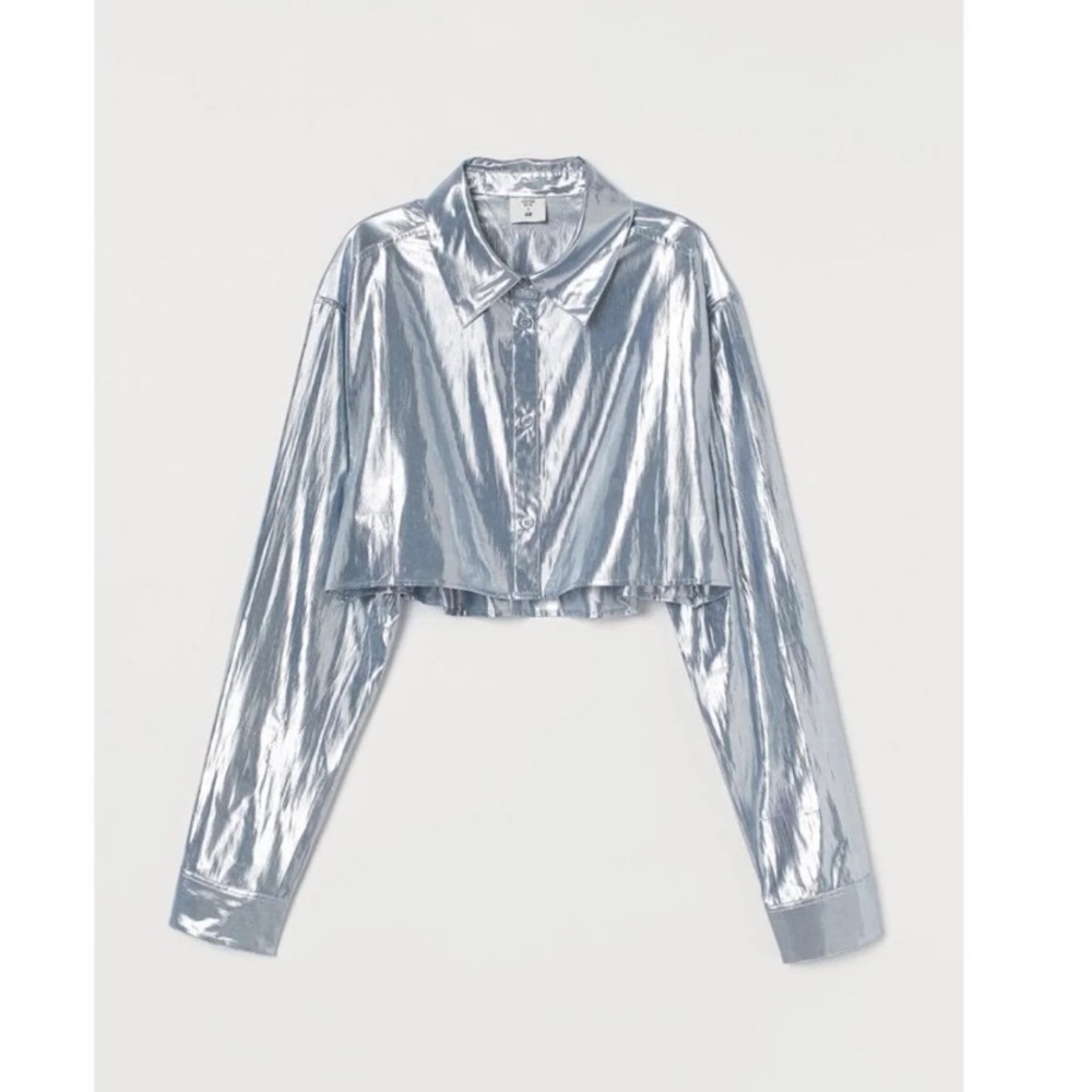 Metallic Silver Long Sleeve Crop Top